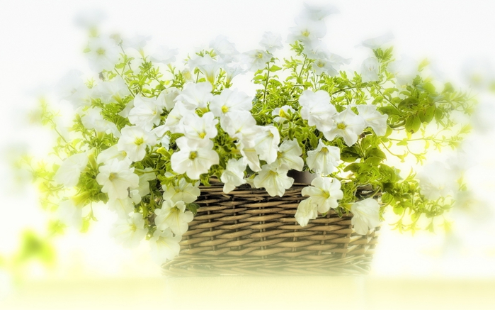 Wallpapers_2014 (676) (700x437, 199Kb)