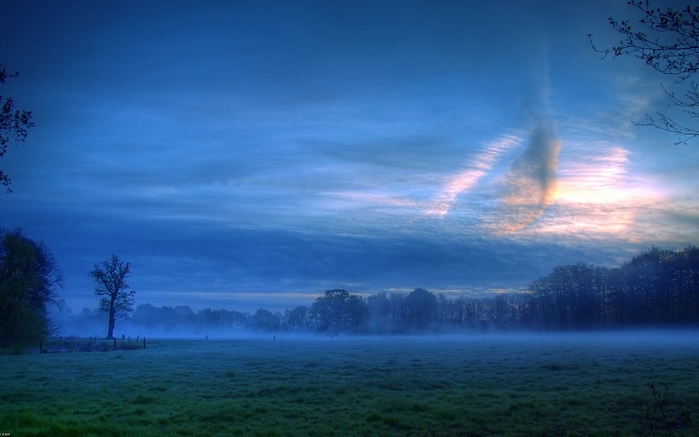 Wallpapers_2014 (812) (700x437, 176Kb)