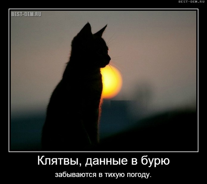 3245507_ (695x618, 46Kb)