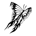  butterfly stencil (30) (700x700, 118Kb)