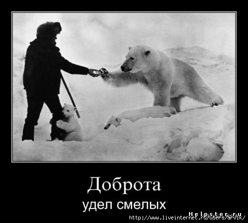 удел смелых (500x449, 79Kb)