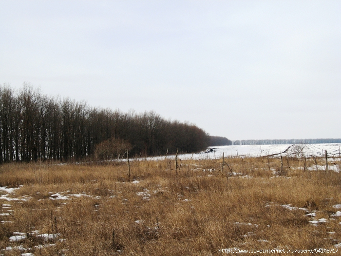IMG_6559 (700x525, 292Kb)