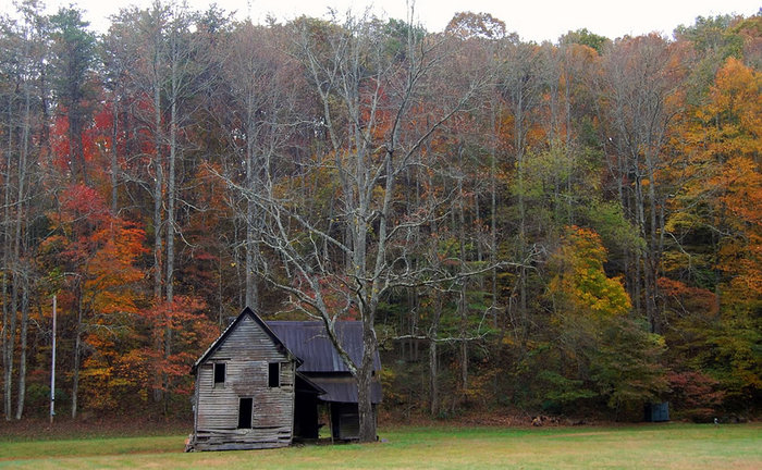 Old-House-and-Black-Walnut-Tree-in-Pleasant-Valley-Gaddistown-Union-County-Georgia (700x432, 122Kb)