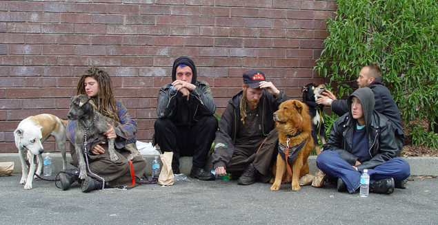 5562646_homelessyouthsofsf (635x327, 107Kb)