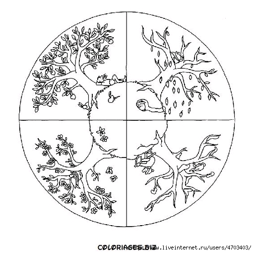 74516140_large_color_mandala12 (512x509, 161Kb)