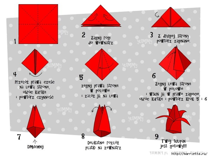 Тюльпан оригами схема