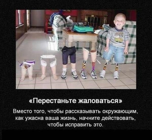 1506638_462800873822084_1100526675_n (600x551, 126Kb)