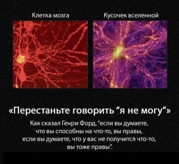 1900017_462800913822080_1923026678_n (600x551, 139Kb)