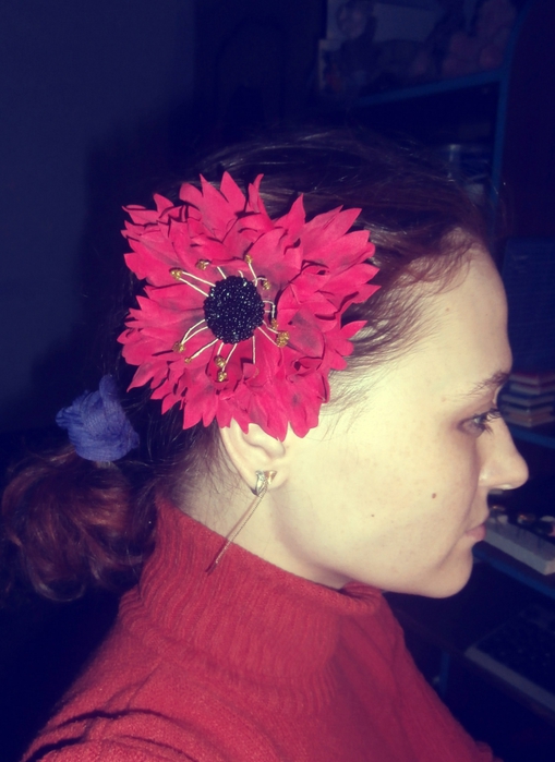 4757949_P2190024 (509x700, 216Kb)