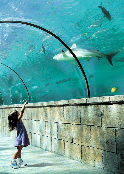 DXBATLPAL_AtlantisThePalmDubai09_SharkTunnelmitKind (500x700, 455Kb)