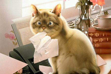 2681762_cat_crazy (450x300, 50Kb)
