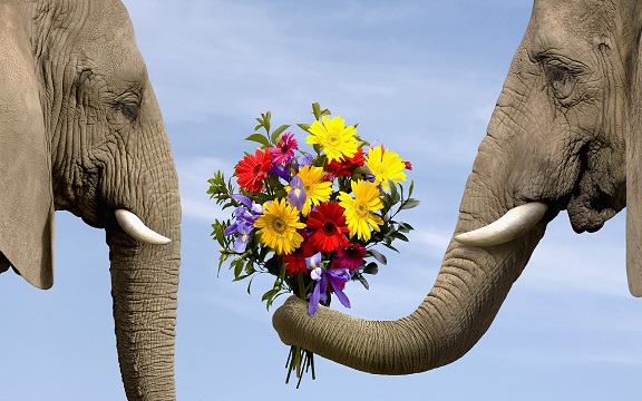 l1w_other-love_allphoto-ir_576x360_12 (576x360, 108Kb)