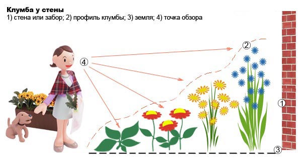 Цветы вдоль стены дома (69 фото) » НА ДАЧЕ ФОТО