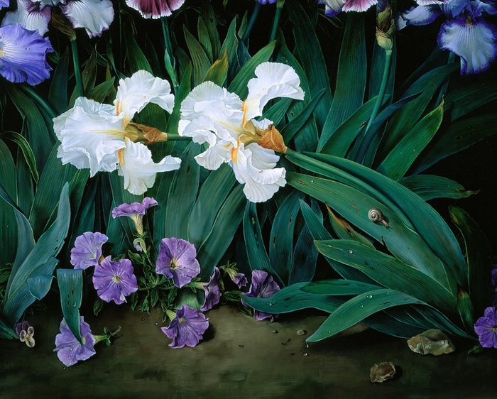 A VISION OF IRISES Detail copy (700x562, 329Kb)