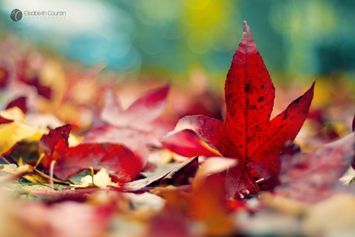 img_6401_copy_by_andokadesbois-d6xb5lc (700x466, 325Kb)