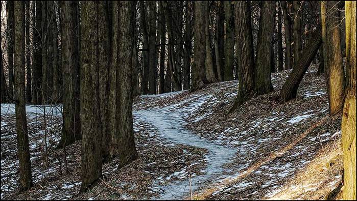  /3673959_1 (700x395, 87Kb)