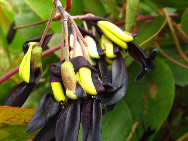 u_1659005509 (640x480, 54Kb)