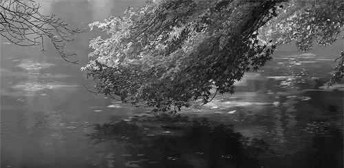 tumblr_mo9i72pnCf1r1eej5o1_500 (500x244, 946Kb)