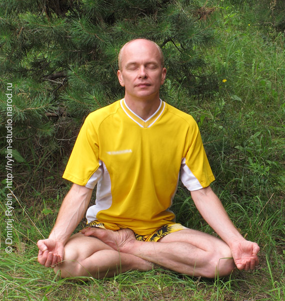 5179278_ya_yoga_072011_061_aa1 (569x600, 186Kb)