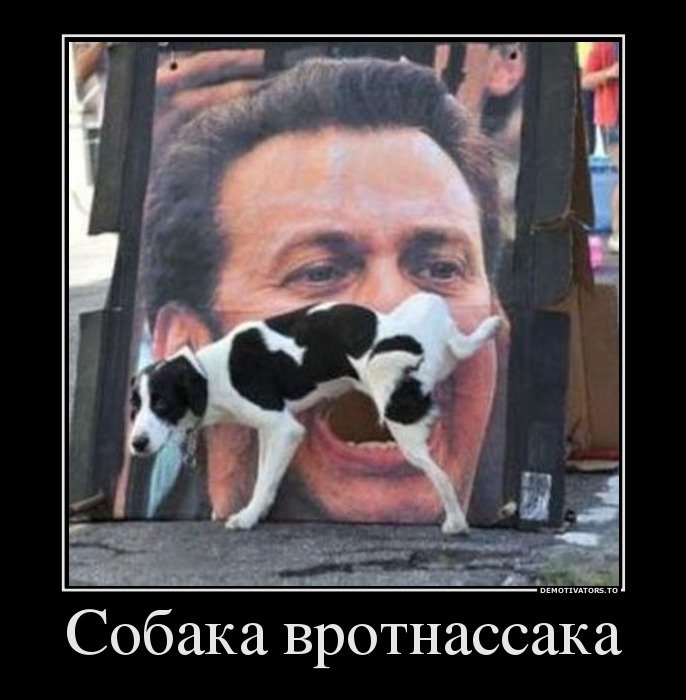 5402287_1345176194_12 (686x700, 71Kb)