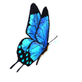 18c683bdfb55 (120x120, 12Kb)