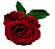 5495565_ROZAM (80x72, 6Kb)