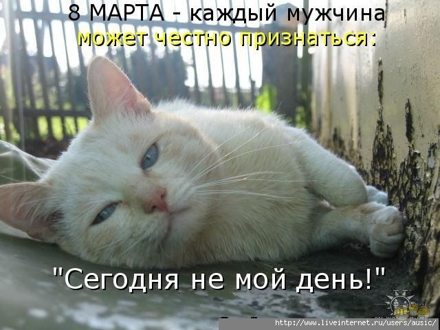 1362634179_1236334750_hiop.ru_kotomatrix_21 (640x480, 169Kb)