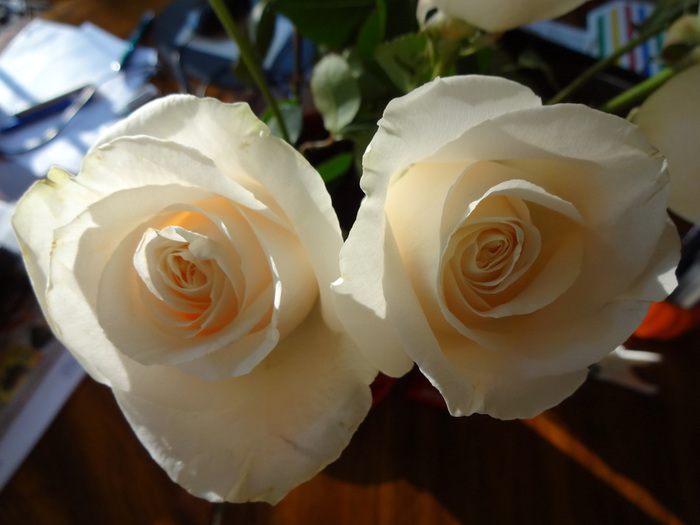 DSC00266 (700x525, 84Kb)