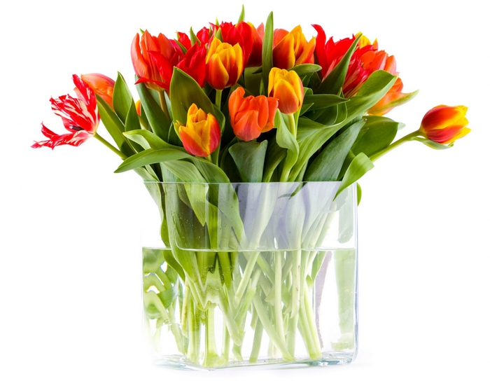 2824467_shutterstock_25853986 (700x544, 202Kb)