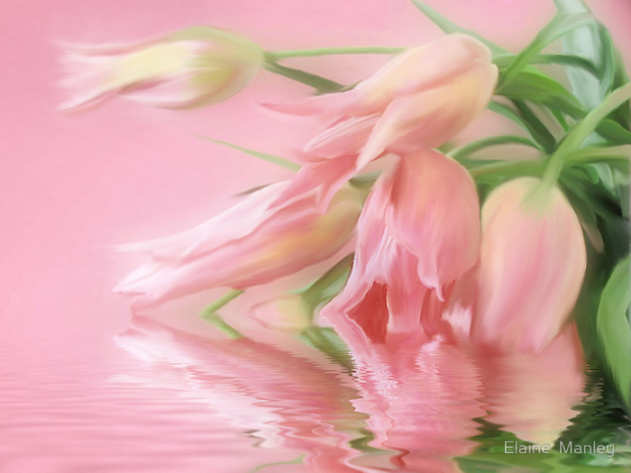 100973758_large_13 (700x525, 293Kb)