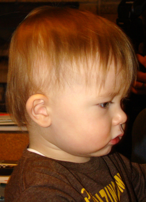 020_edited-1 (505x700, 348Kb)