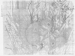  251518-45540-72539629-m750x740-u0757f (700x524, 343Kb)