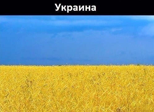 5361707_f29ok (498x364, 42Kb)