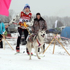 4592859___Zimnie_zabavi____festival_dlya_vsei_semi (283x283, 37Kb)