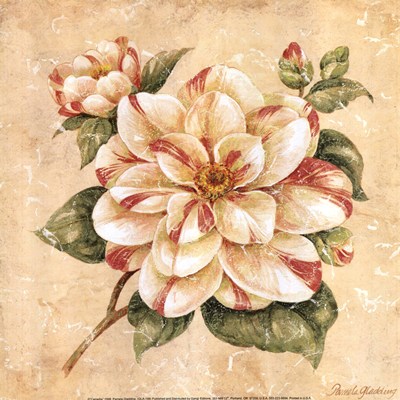 4964063_camelliabypamelagladding (400x400, 54Kb)