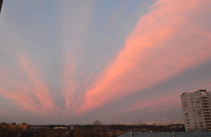 DSC_8035 (700x455, 76Kb)