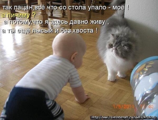 image (600x456, 134Kb)
