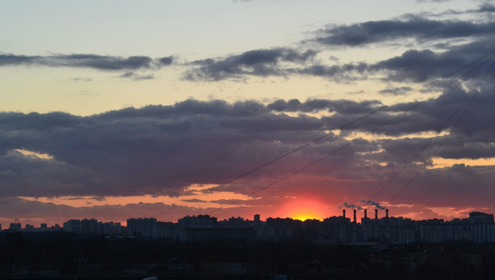 DSC_8044 (700x396, 229Kb)