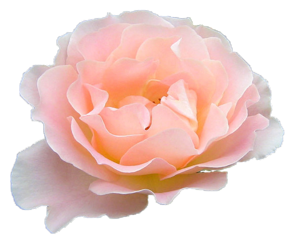 8 (586x480, 353Kb)
