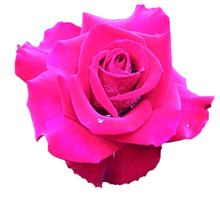 getImage (4) (700x647, 393Kb)