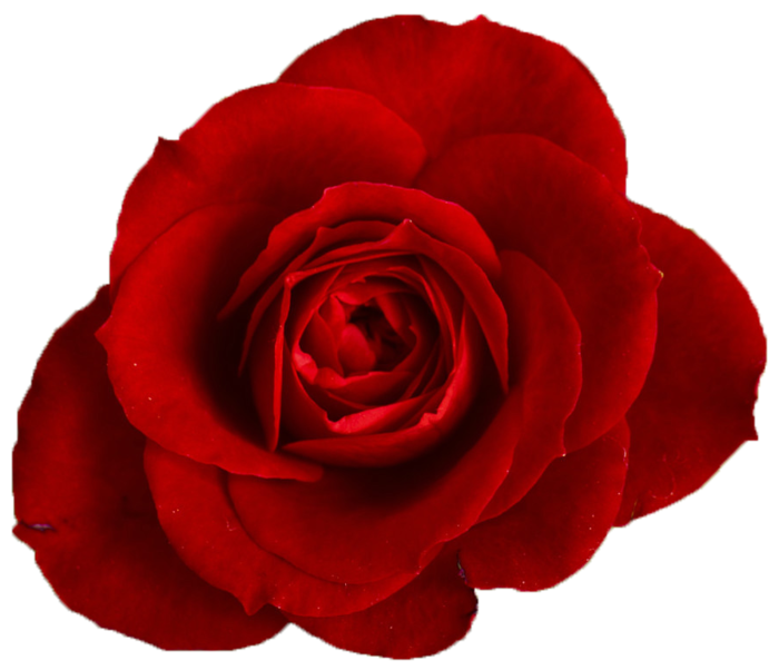 getImage (39) (700x602, 343Kb)