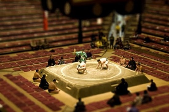  .      (Tilt Shift)