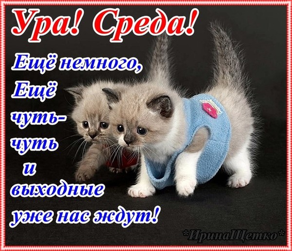 http://img0.liveinternet.ru/images/attach/c/10/110/971/110971444_SSSREDA_YA.jpg