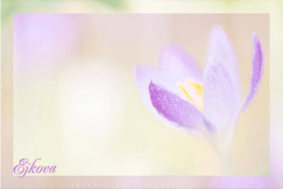 0_a13cc_c8ccc19e_XL (400x267, 105Kb)