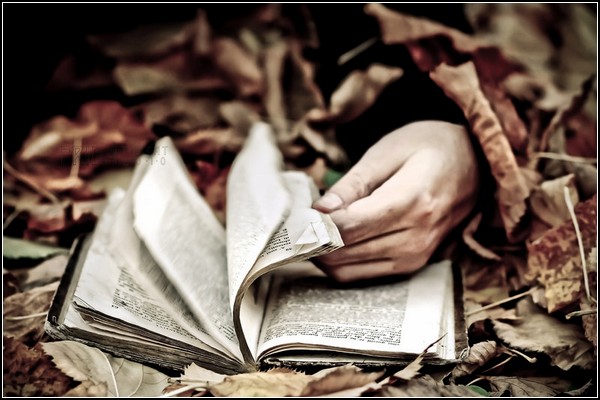 the_reader__by_t0x1c_d0lly-d349qn3 (600x400, 65Kb)