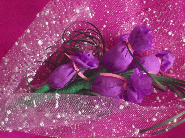 DSC03370 (640x480, 295Kb)