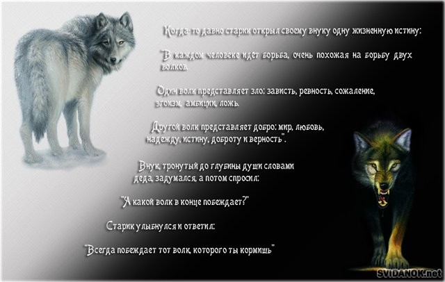 rebenochek_uid9495_dvavolka (640x406, 53Kb)