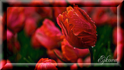 0_a062f_a97e5ba6_XL (400x225, 120Kb)