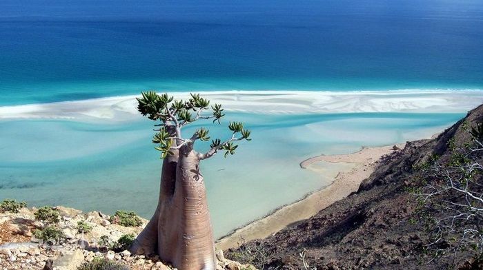 Socotra03 (700x392, 56Kb)