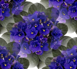 12 (250x224, 139Kb)
